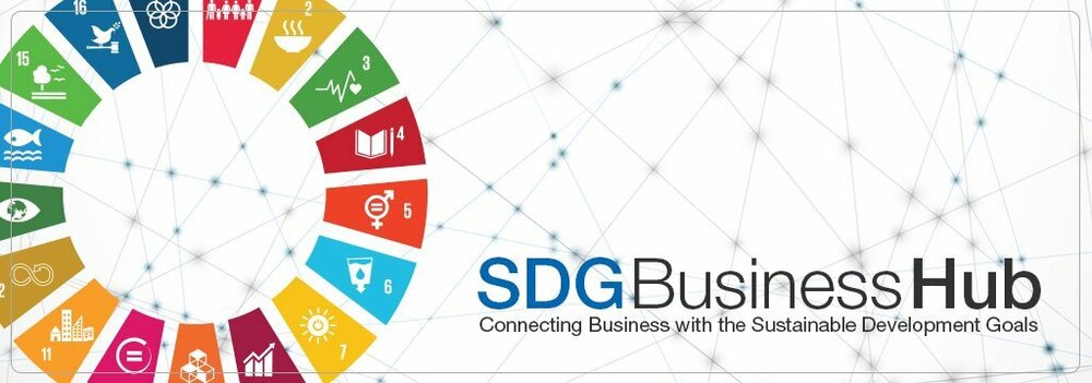 SDG business hu B